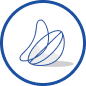 Ultraflex premier